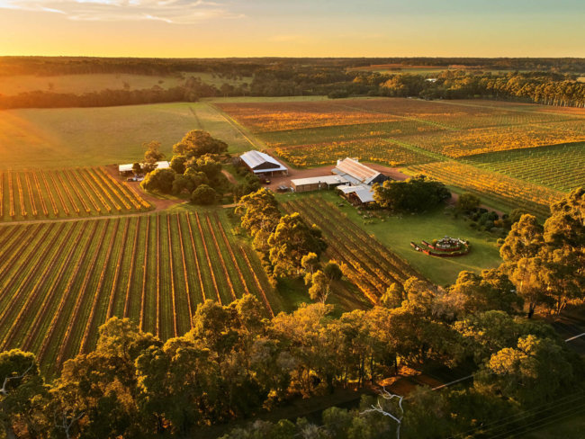 Australia’s Best Fiano - Young Gun Of Wine