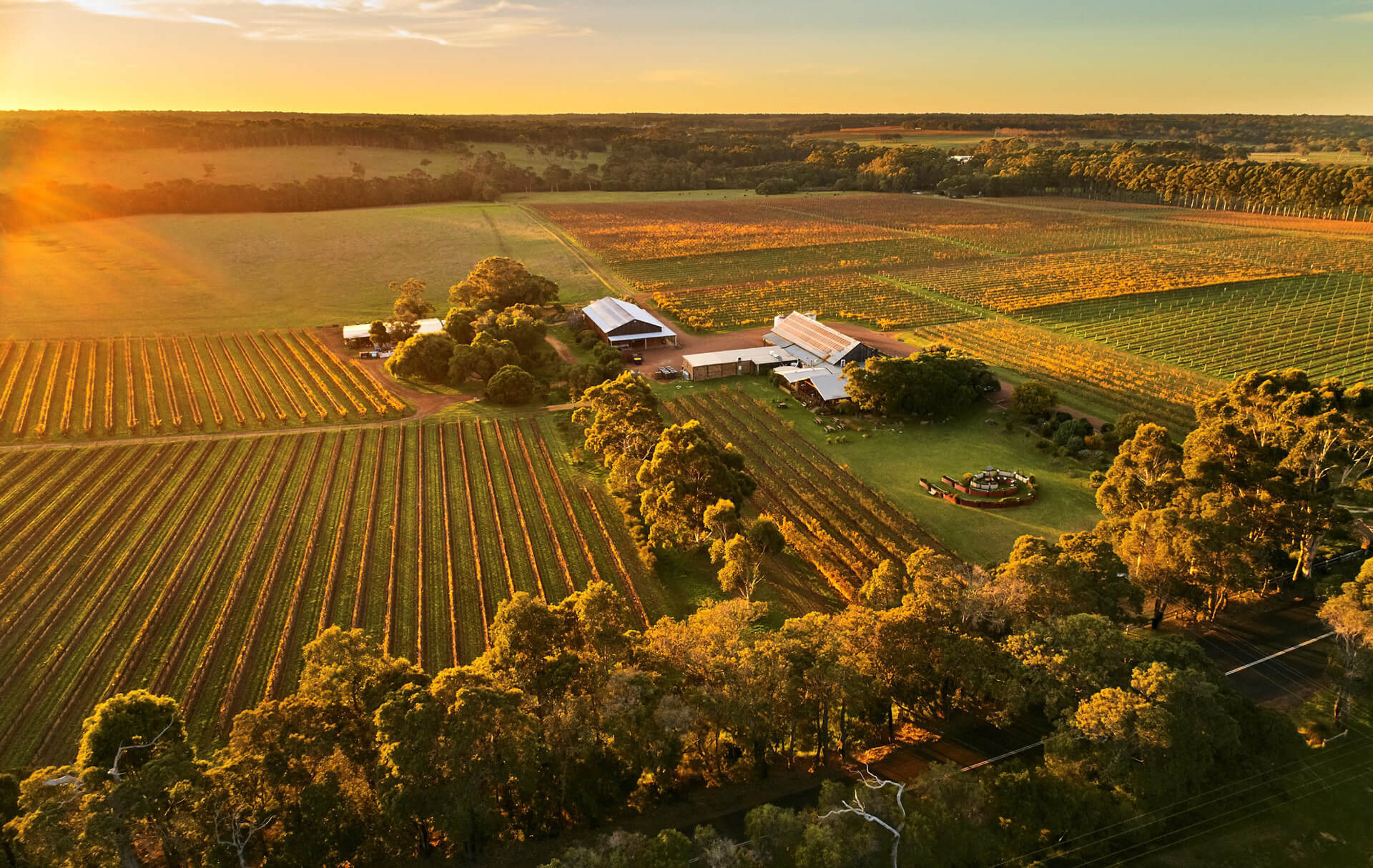 Sunrise at Cullen Winery – birds eye view