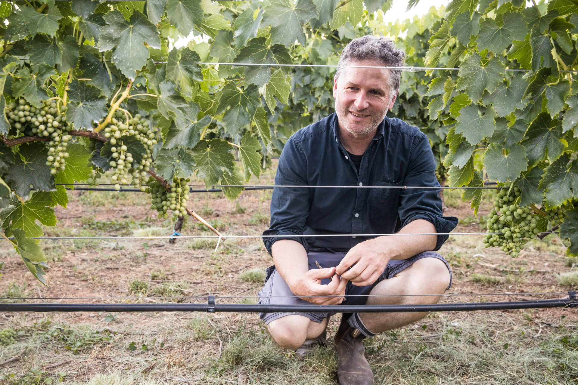Collector Wines winemaker profile: Alex McKay – Young Gun of Wine