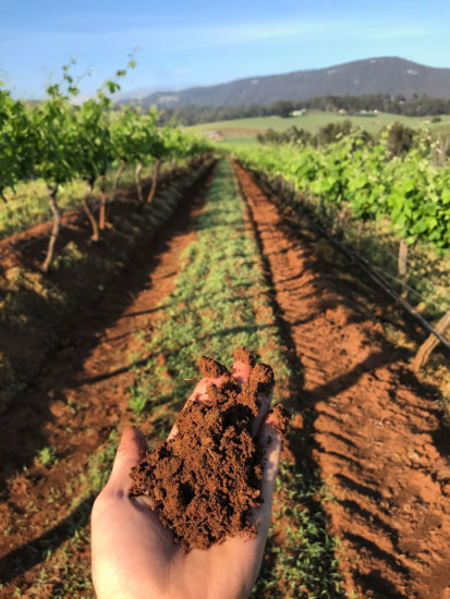 Vinden Wines – Somerset Vineyard, Pokolbin