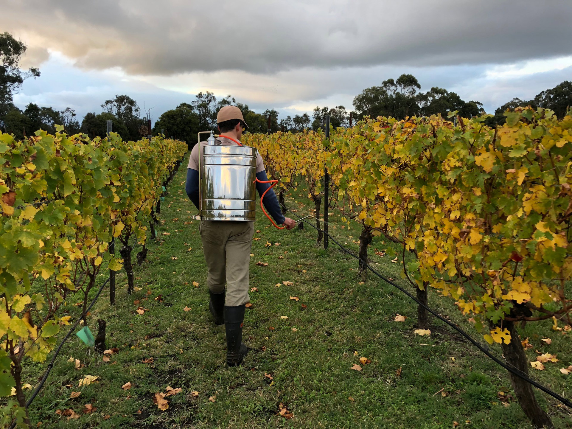 The Wine Farm, Gippsland Young Gun of Wine