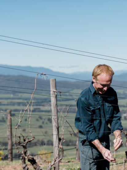 Fighting Gully Road Vineyard, Beechworth
