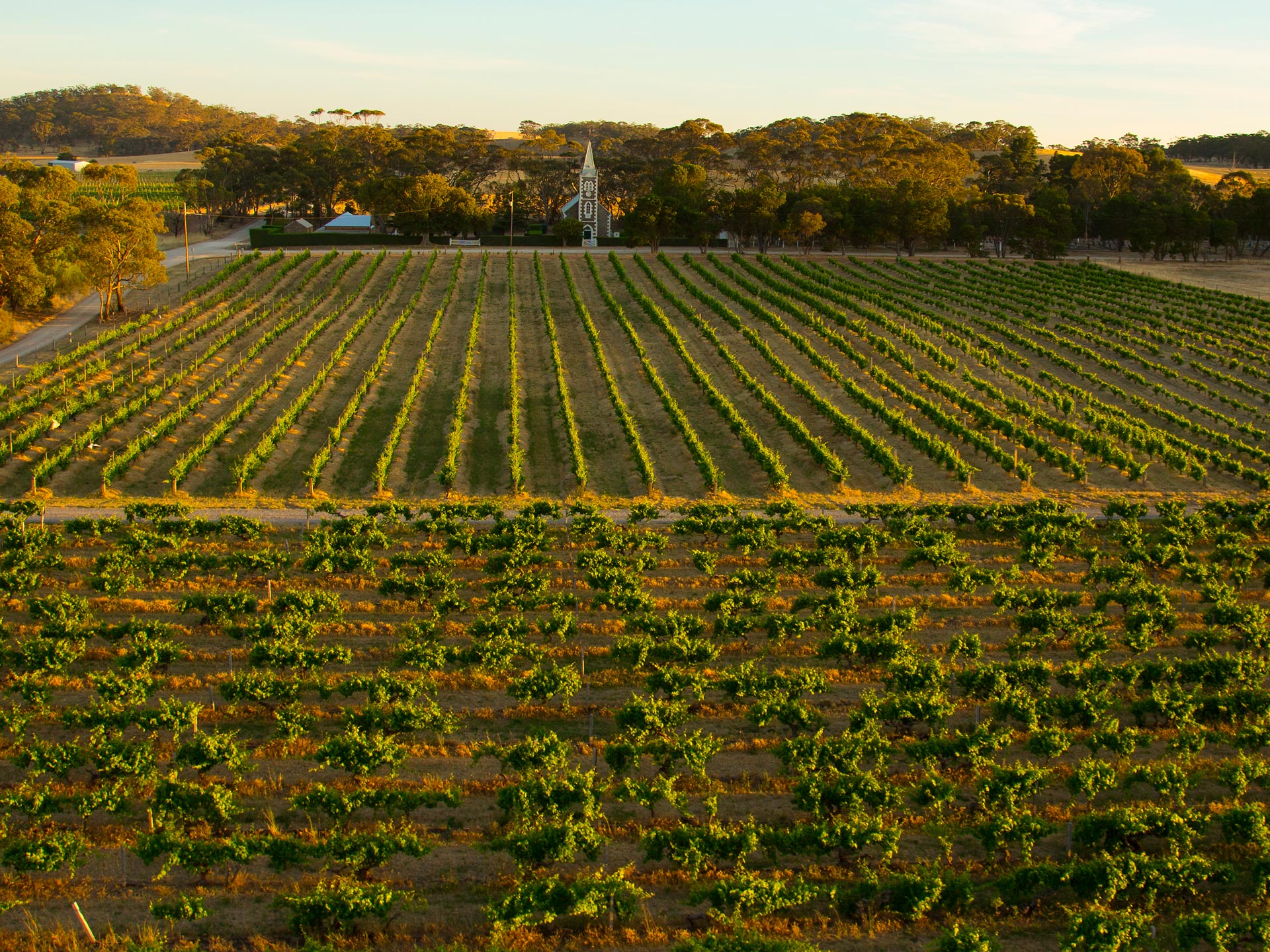 Henschke Hill of Grace, Eden Valley Young Gun of Wine
