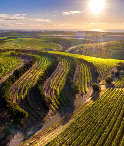 McLaren Vale