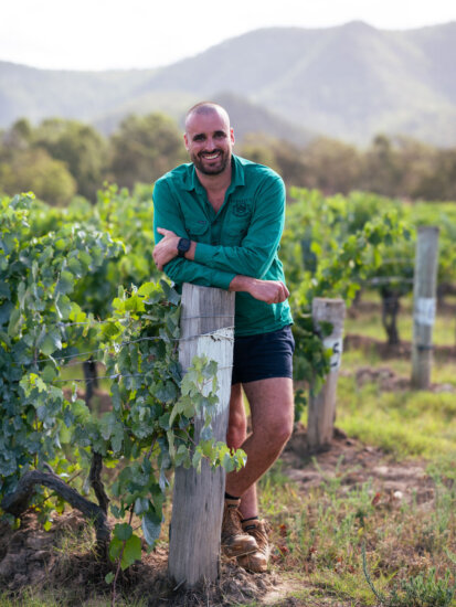 Tyrrell’s – Short Flat Vineyard, Hunter Valley