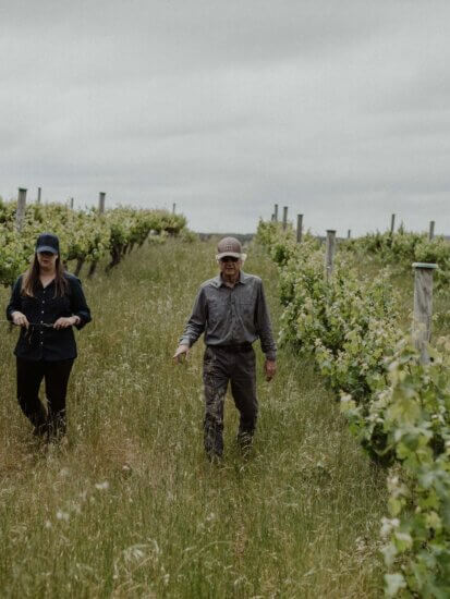Marri Wood Park Vineyard, Margaret River