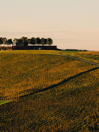 Yarra Valley’s Best Pinot Noir