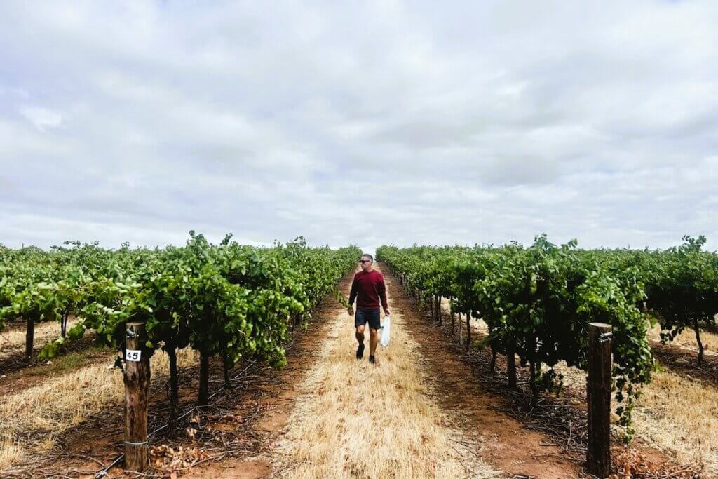 Australia’s Best Aglianico