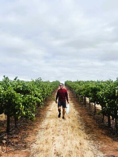 Australia’s Best Aglianico